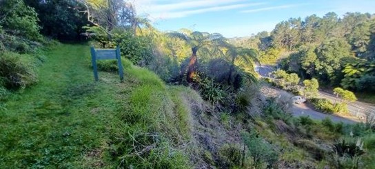 Geotec 1 View of Top of Slip from Walking Track, 2024 (3 years after slip)